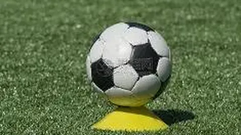 开云体育官网投注 产品 095027 vn1