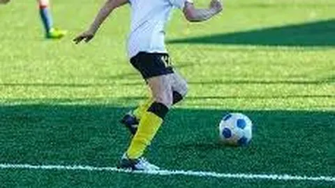 开云体育官网投注 资讯 113322 gqj