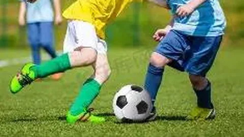 开云体育官网投注 产品 113321 5yi