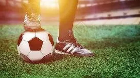 开云体育官网投注 资讯 114102 h2l