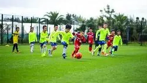 开云体育官网投注 产品 113239 qjc