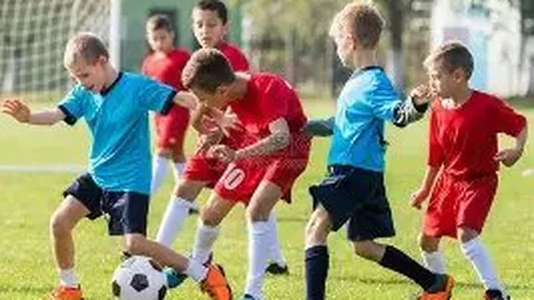 开云体育官网投注 资讯 113207 3ib