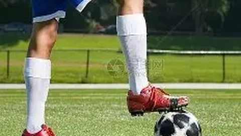 开云体育官网投注 产品 113839 s3t